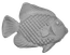 DOPREDAJ dekoračný prvok 134 x 110 x 5 mm - ryba, odliatok