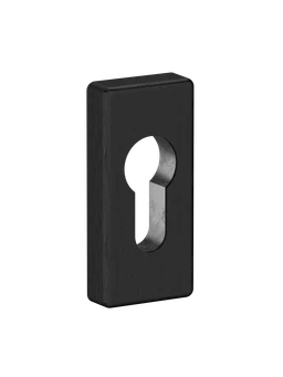 Hliníková rozeta, cylindrická vložka, brúsený čierny elox