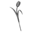Tulipán kovaný 410 x 165 mm
